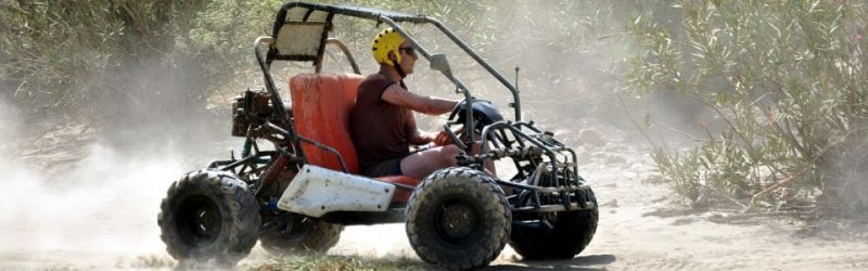 Buggy Safari