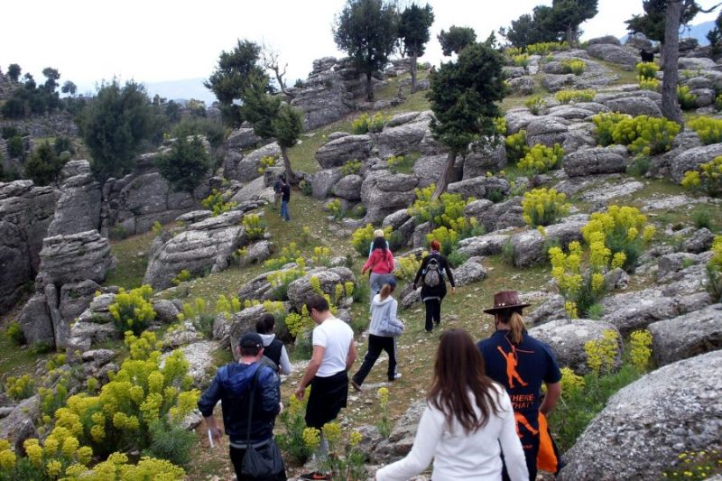 Hiking