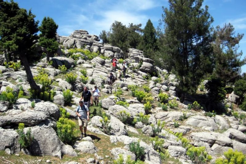 Hiking