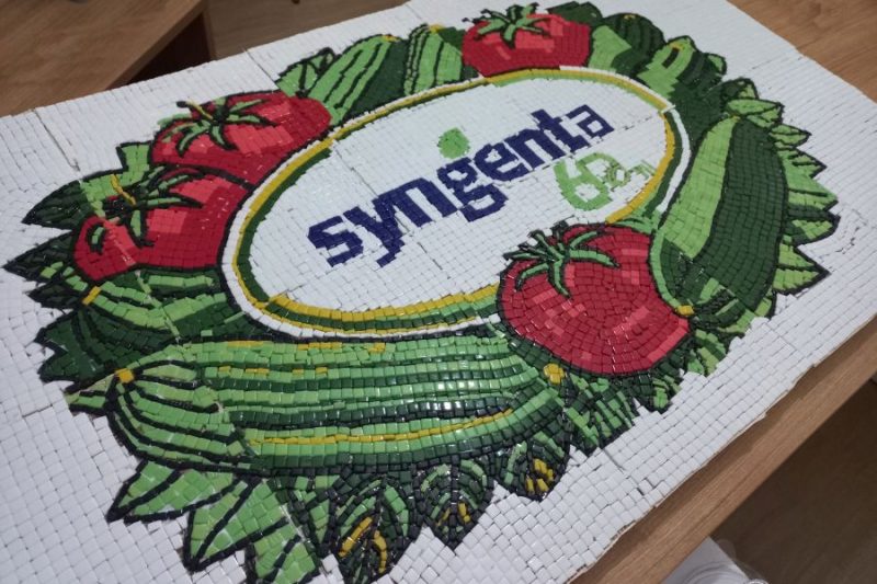 SYNGENTA